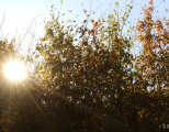 Teploty pomaličky klesajú, na Slovensko prišla jeseň