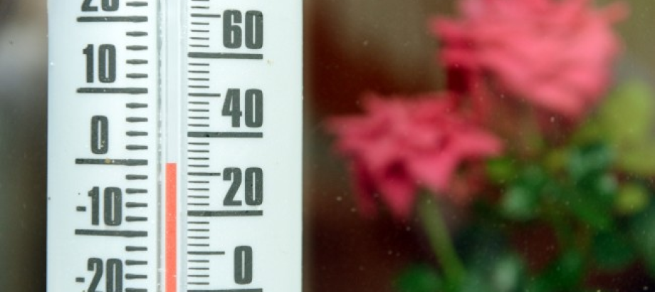 Americkí výskumníci zaznamenali najteplejšiu zimu od roku 1880