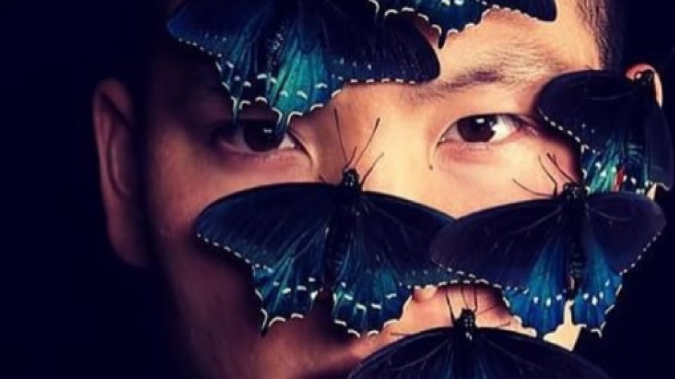 Tim Wong a jeho motýle.
