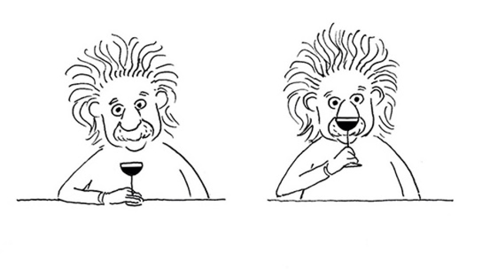 Einstein alebo lev? Stačilo zmeniť iba malý detail, premiestniť pohár s vínom.