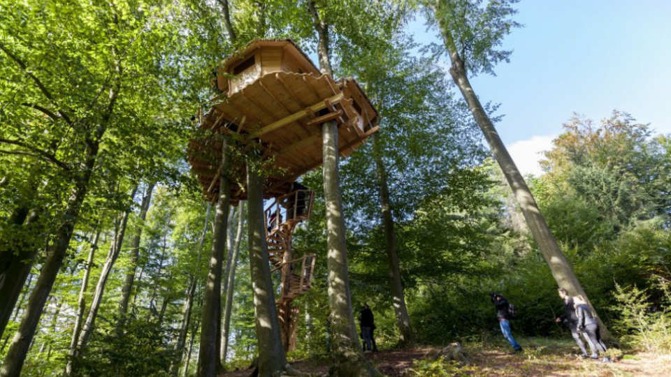 Pod Kačínom v bratislavských mestských lesoch dnes otvorili prvý domček na strome na Slovensku s možnosťou prenocovania. V Bratislave 5. októbra 2016. 