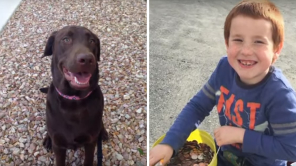 Po 4 rokoch má chlapec konečne svojho vytúženého psa, na ktorého si poctivo šetril.