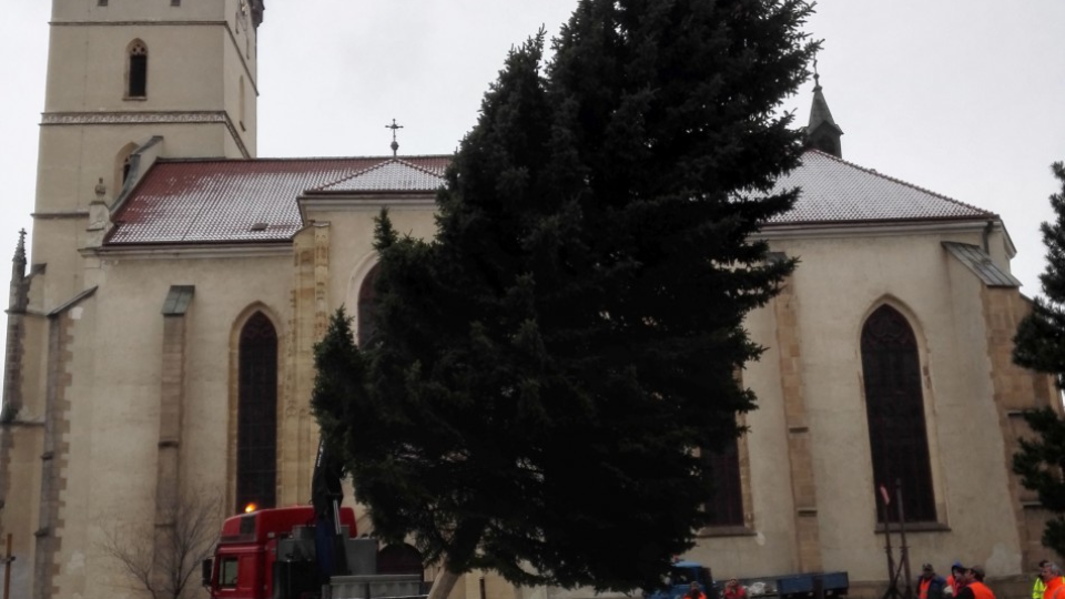 Na snímke inštalácia vianočného stromu - 15 metrov vysokého smreka pichľavého pred Konkatedrálou sv. Mikuláša v Prešove 16. novembra 2016. 