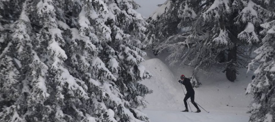 Snehové správy: Niekde majú dobré podmienky aj na bežkovanie
