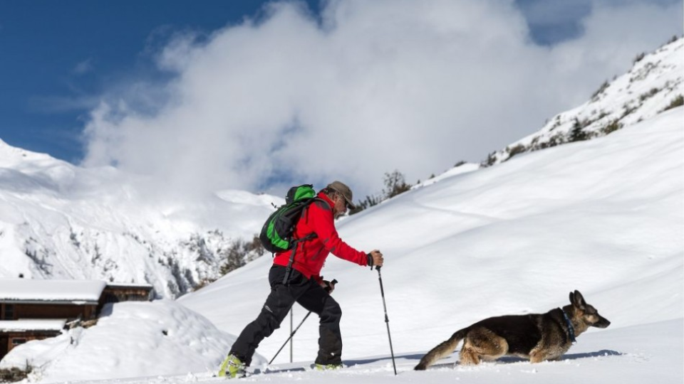 Na archívnej snímke je turista Walter Lippuner sa brodí snehom počas túry so svojím psom blízko dediny St. Antoenien vo východnej časti kantónu Graubünden, Švajčiarsko, piatok 11.októbra 2013. 