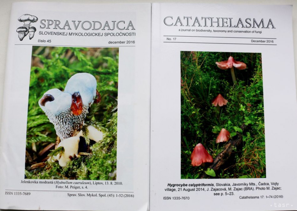 Vydávanie mykologických časopisov je jednou z hlavných aktivít Slovenskej mykologickej spoločnosti SAV.
