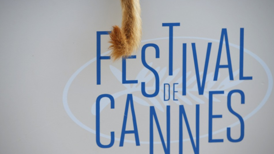 Filmový festival v Cannes, archívne foto