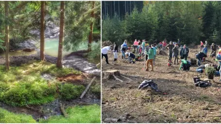 Česi plánujú najväčšiu výsadbu stromov v histórii