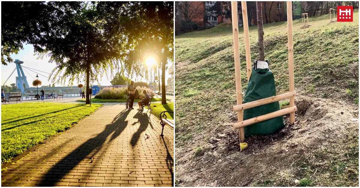 Bratislava má byť zelenšia