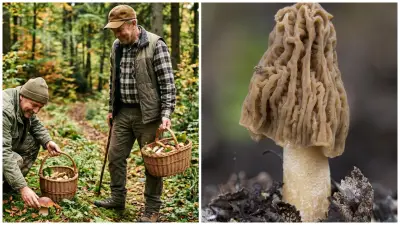 Ilustračná fotografia.