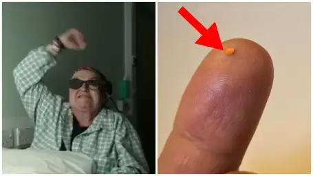 Sheila Irvineová / Mikroskopický bionický čip Prima