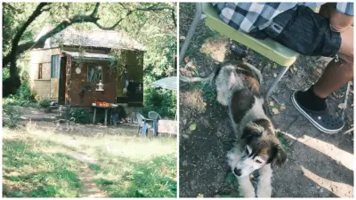 Chata / Psík Cyril.