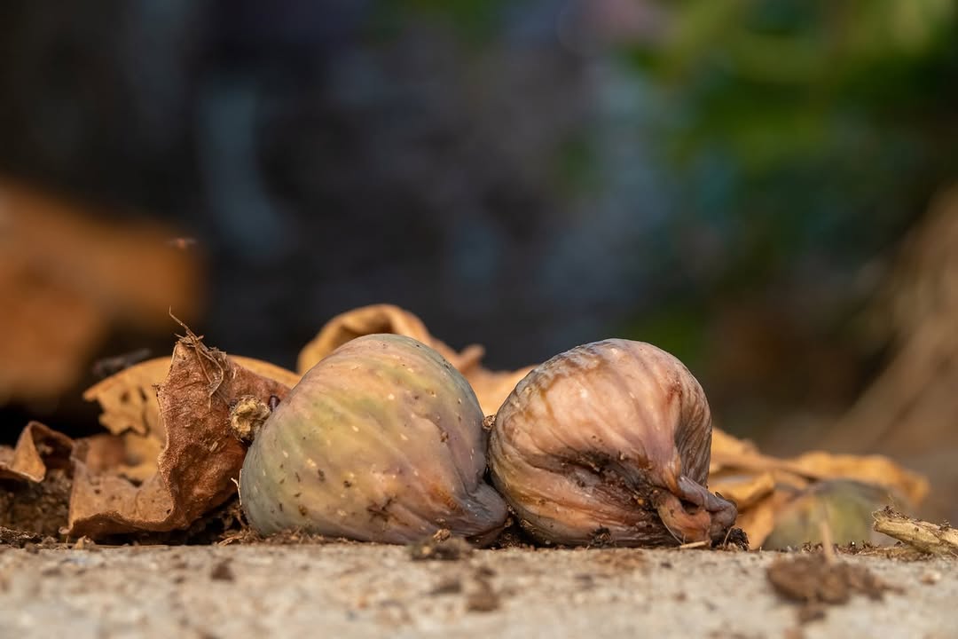 Instagram Post
